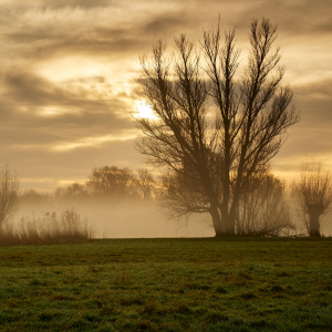 Dezember2019-78