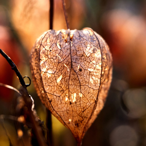 Dezember2019-58